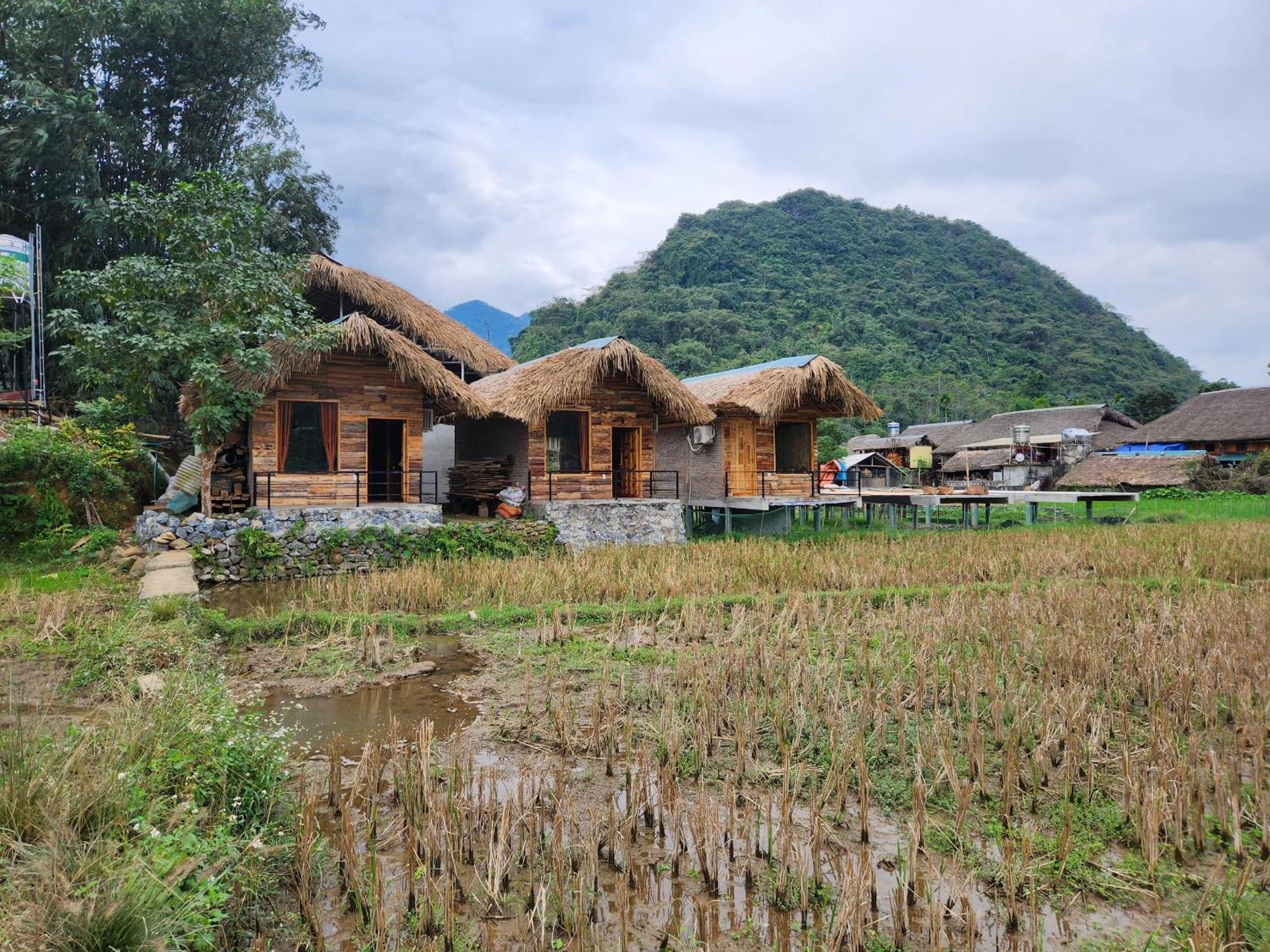 Mr Win Ha Giang